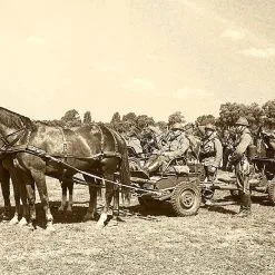 First To Fight Kits 1/72 Three-horse Cavalry Carriage For 37mm Bofors Wz. 36