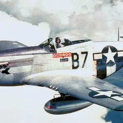 Meng-Model Meng Model 1/48 US P-51D Mustang # LS-006 -Aircraft Kits Sales p 51 361