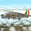 Special Hobby 1/72 Caproni Ca.311 # 72307 -Aircraft Kits Sales sh72307
