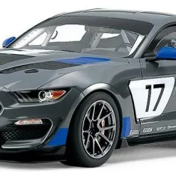 Tamiya 1/24 Ford Mustang GT4 # 24354