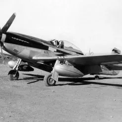 Meng-Model Meng Model 1/48 US P-51D Mustang # LS-006 -Aircraft Kits Sales usaaf sn 44 11280 p 51d mustang 23fg118trs edward mccomas 600 cbi 1944 02